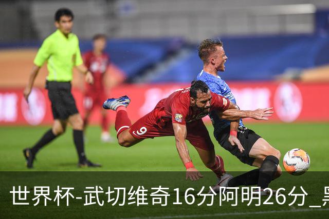 世界杯-武切维奇16分阿明26分 黑山大胜埃及