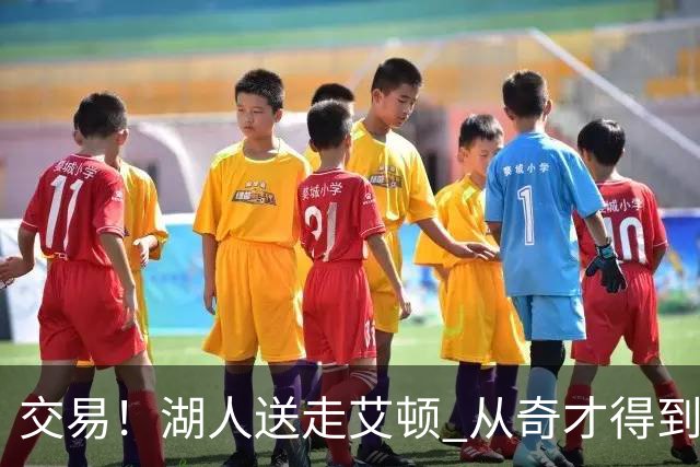 交易！湖人送走艾顿 从奇才得到哈迪+2个次轮签