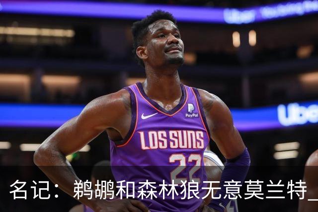 名记：鹈鹕&森林狼无意莫兰特 热火也不急于尝试其与字母哥的搭档